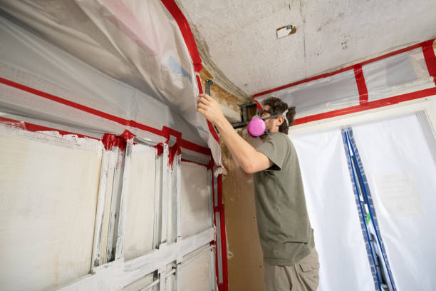 Best Attic Mold Removal  in Rancho Cordova, CA