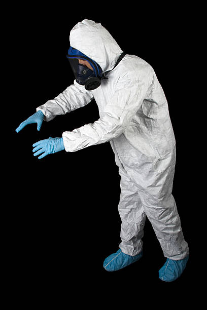 Best Basement Mold Removal  in Rancho Cordova, CA