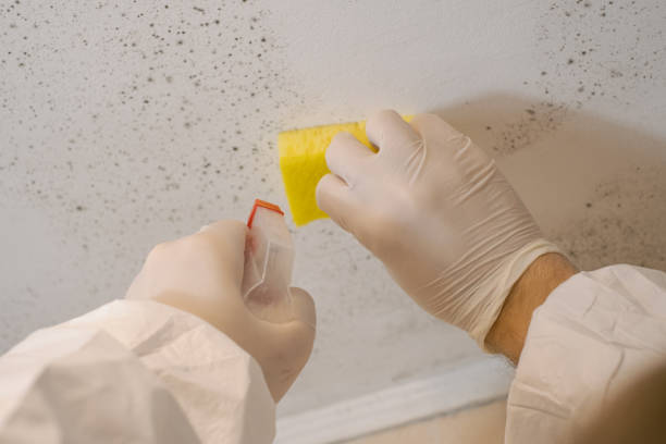 Best Post-Construction Mold Inspection  in Rancho Cordova, CA