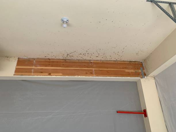 Best HVAC Mold Inspection and Cleaning  in Rancho Cordova, CA