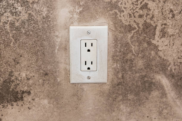 Reliable Rancho Cordova, CA Mold Removal Solutions