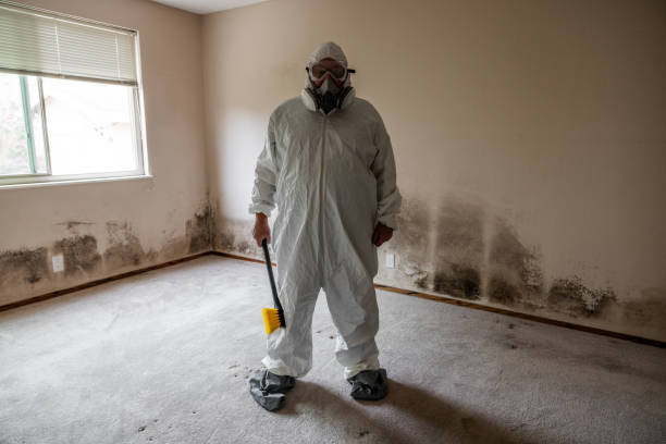 Best Mold Damage Restoration  in Rancho Cordova, CA