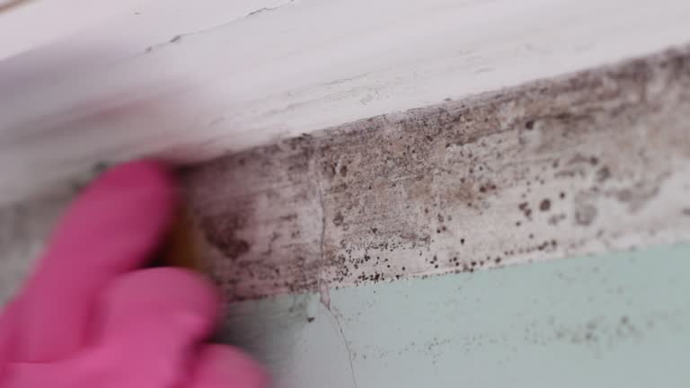 Best Mold Removal for HVAC Installations  in Rancho Cordova, CA